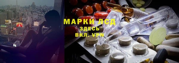 гашик Аркадак