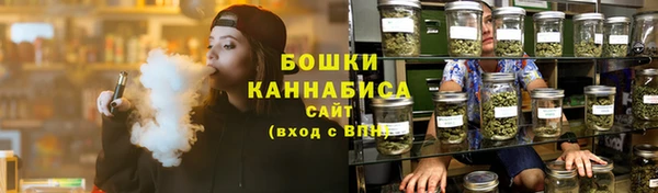 сатива Арсеньев