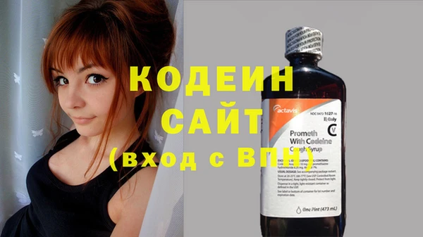 сатива Арсеньев