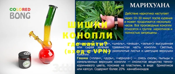 сатива Арсеньев