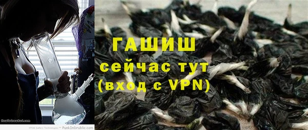 сатива Арсеньев