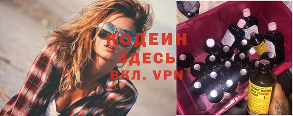 сатива Арсеньев