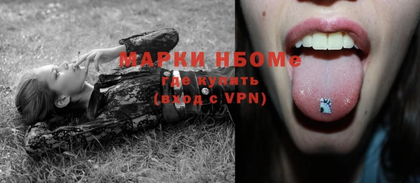 гашик Аркадак