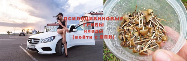 сатива Арсеньев